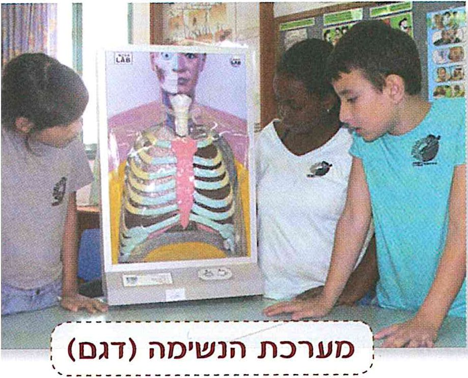 (בספר תמונה)